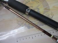 リーディング-X ネライ 210S