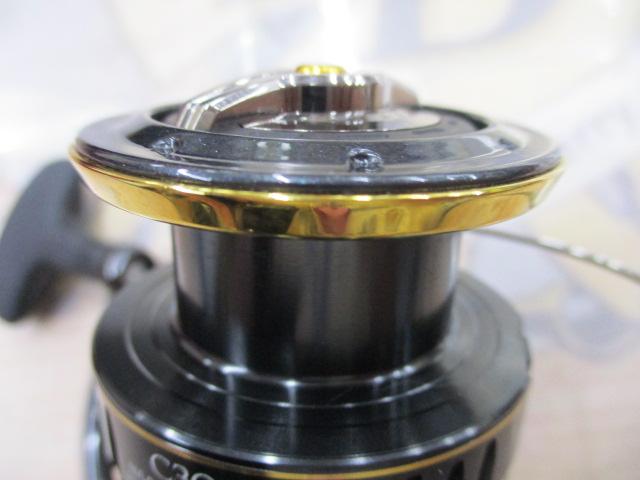 23BB-Xデスピナ C3000DHG