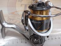 21フリームス FC LT2000S-XH