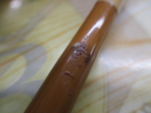 がまへら古天竺 11