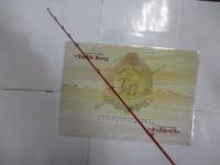 アオリスクイッド ディアボロス 4'1" 125 スパイス