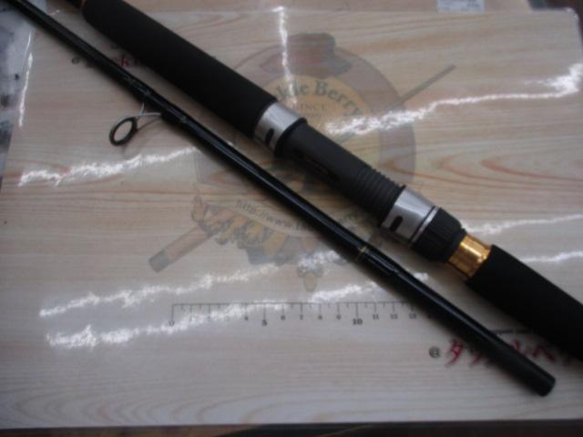 Amazon.com : Daiwa 21 Jig Caster 90MH/N : Sports & Outdoors