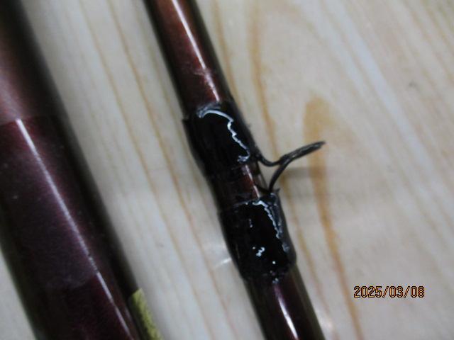 幻波スミイカ M240