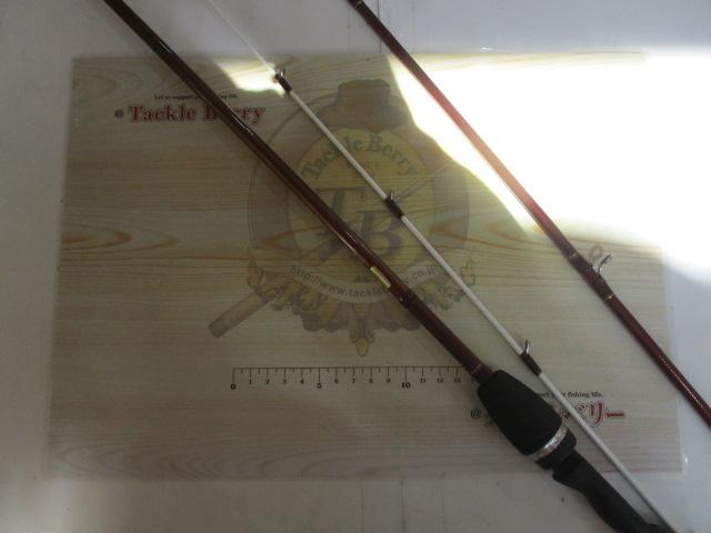 リーディング-X メバル 300(1)