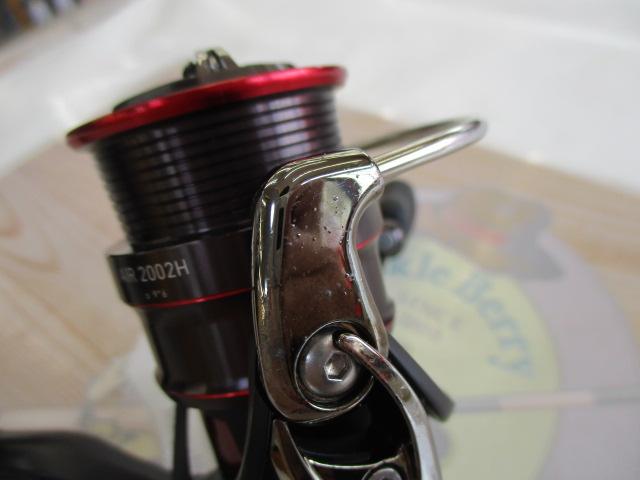 17月下美人エア 2002H