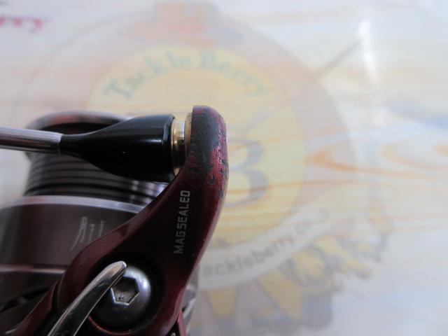 14月下美人 2004H