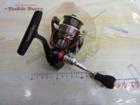 14月下美人 2004H