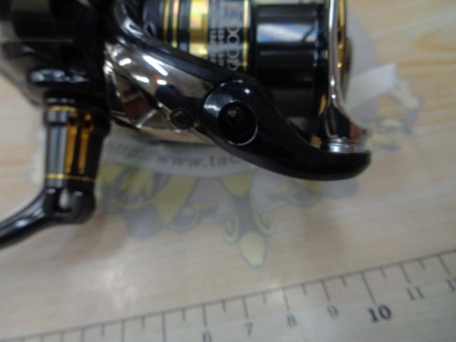 23BB-Xデスピナ C3000D TYPE-G