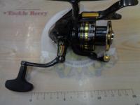 23BB-Xデスピナ C3000D TYPE-G