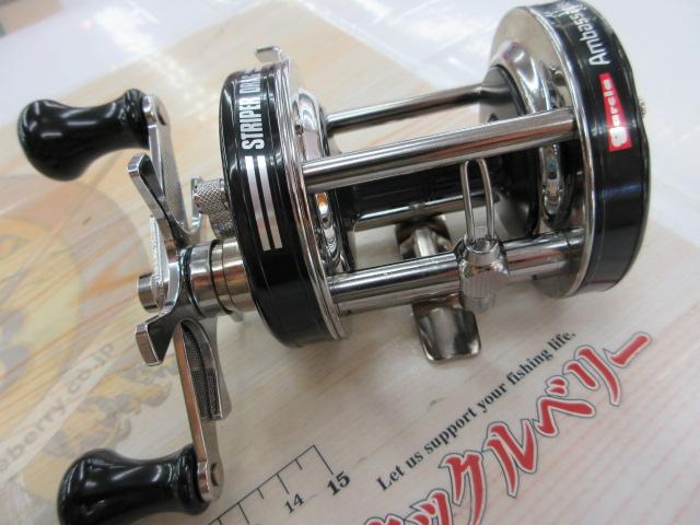 6500 ストライパー ブラック