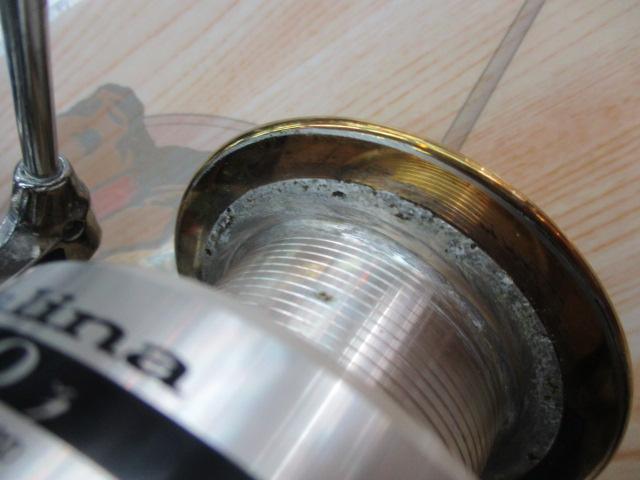 キャタリナ 6000