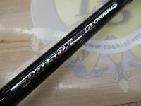 ポイズングロリアス 172H RUSHBURN