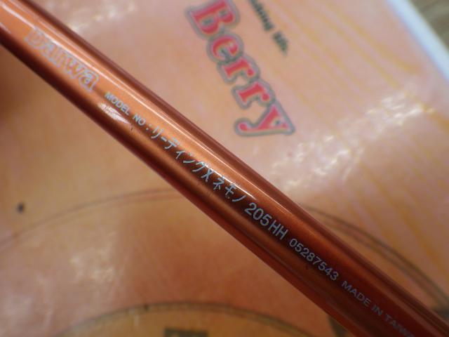 リーディング-X ネモノ 205HH