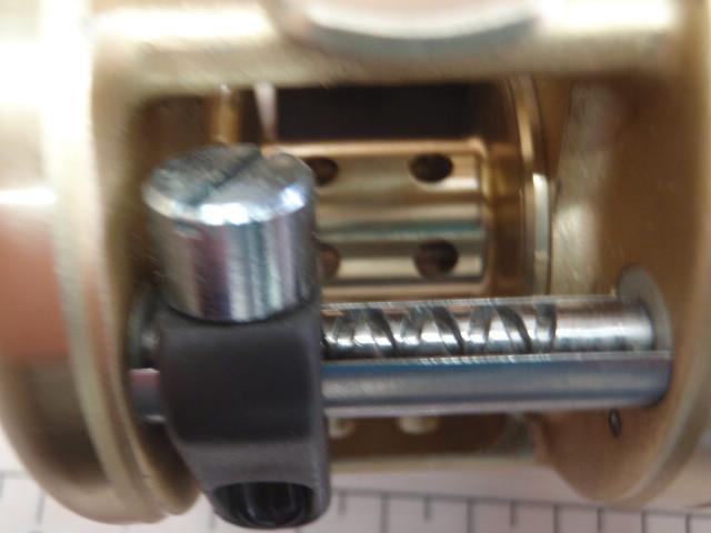 カルカッタ 100XT