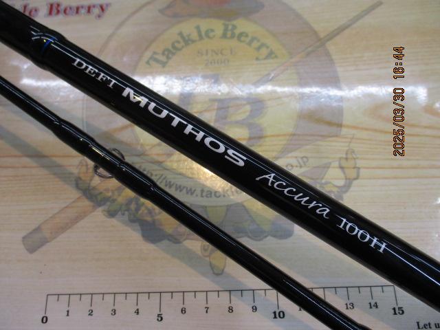 デフィーミュートス DMアキュラ 100H (RGモデル/RV)