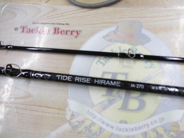 タイドライズヒラメM270