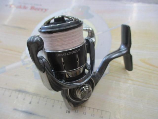 24ルビアス LT2000S-P