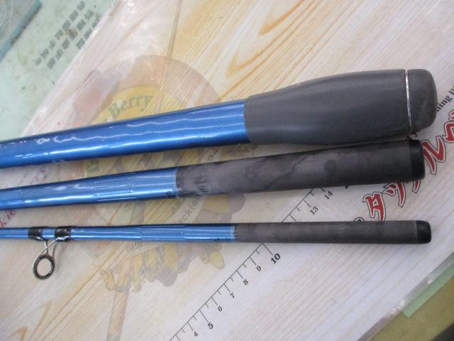 サーフリーダーEVSF 405DX