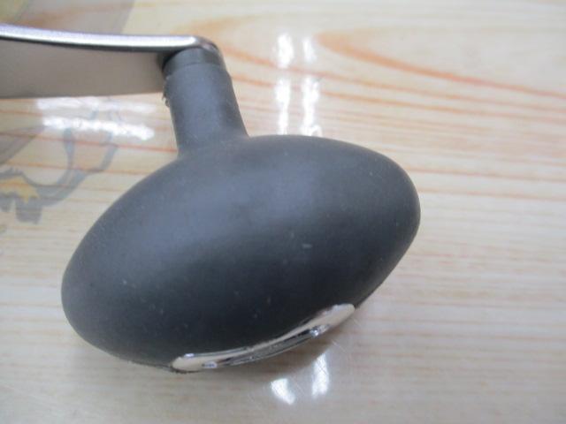 プロトラストライドシップ300