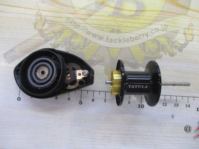 24タトゥーラ TW 100