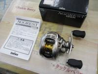 アグレスト 100H