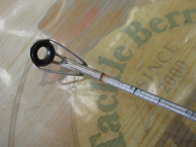 サーフリーダーEV 425CX-T