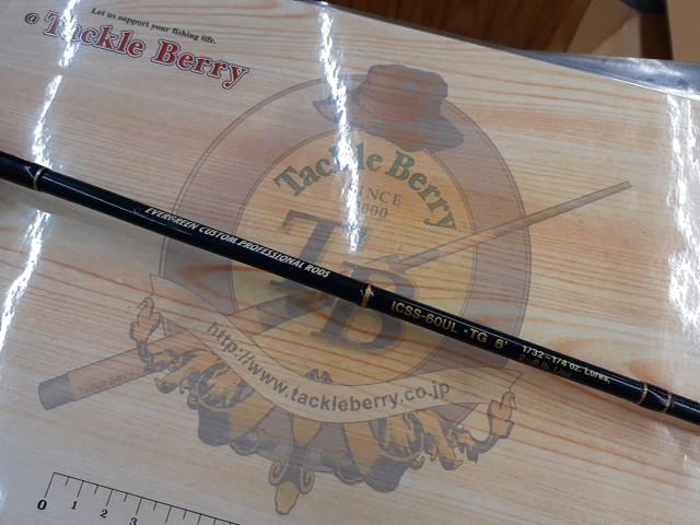 インスパイア ICSS-60UL.TG