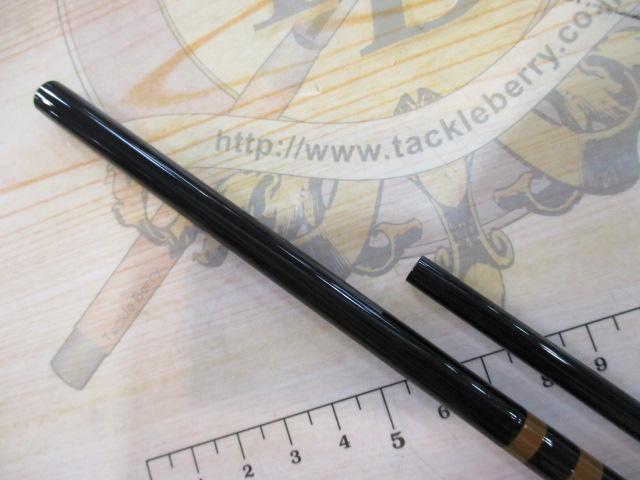 普天元 獅子吼 10.5