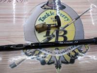 16シーウイング73 120-270T3