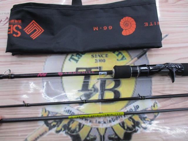 アンモナイト662M