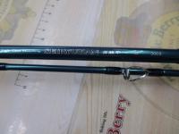 青龍竿 舞 300Ⅱ