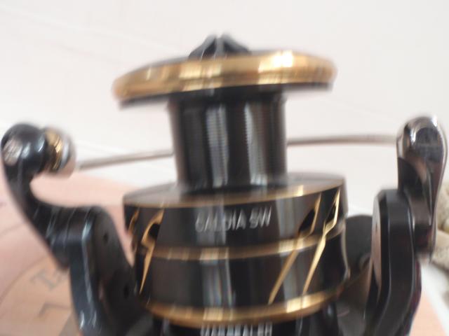 22カルディアSW 8000-H