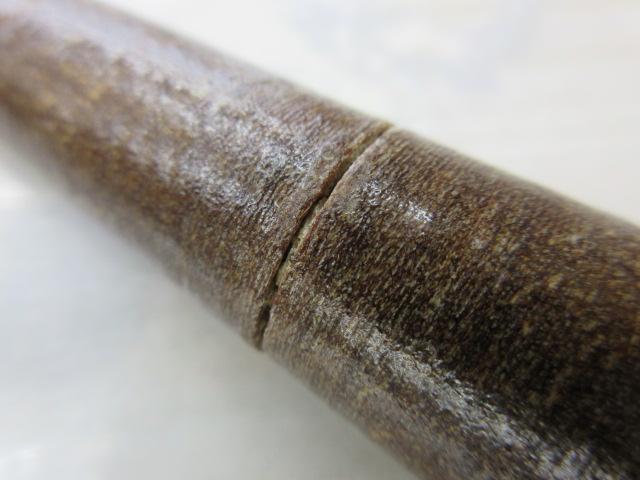 朱紋峰 ぬけさく 15