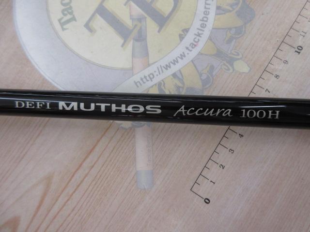 デフィーミュートス DMアキュラ 100H (RGモデル/RV)