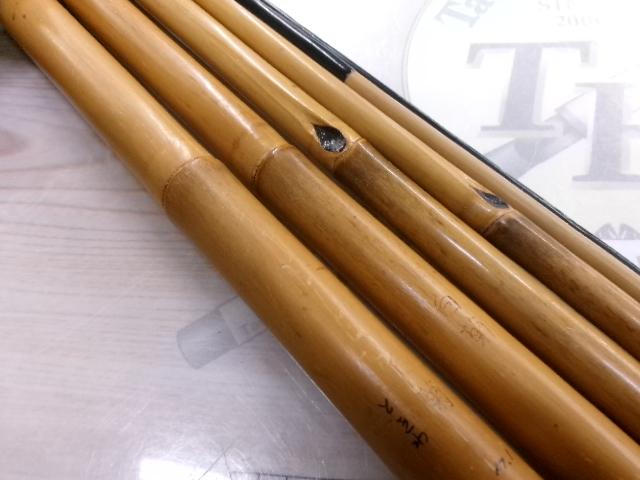 宝泉白菊ときわ17.1