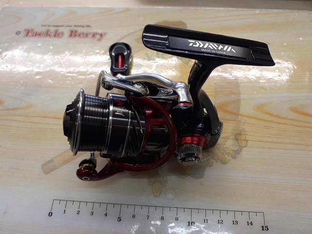 14月下美人 2004H