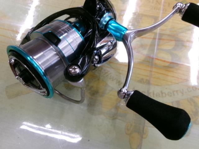 Amazon.com : Daiwa LT3000S-CH-DH 19 Emeraldas Spinning Reel