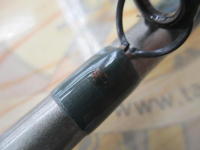 本命カワハギ 210