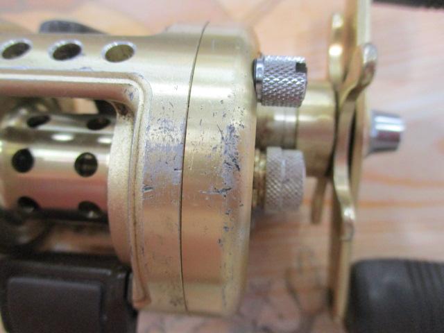 カルカッタ 50XT