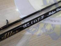 レイズ オルタ RZA61L-T