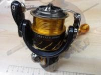 13セルテート 2004CH