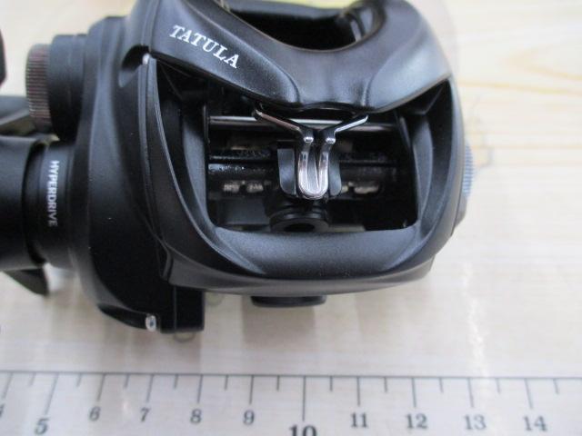 24タトゥーラ TW 100