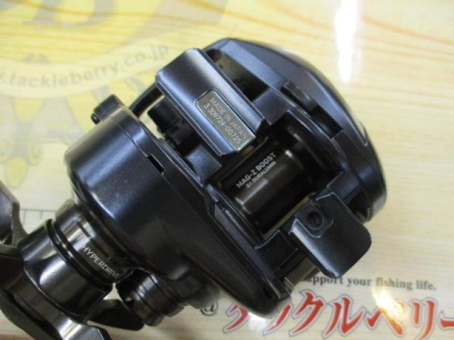 スティーズ AⅡ TW 1000H