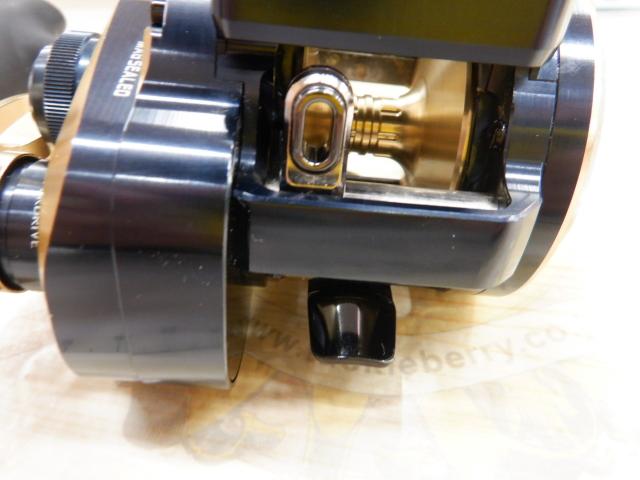 21ソルティガIC 300H-SJ