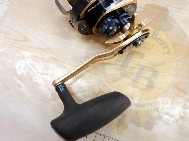 21ソルティガIC 300H-SJ