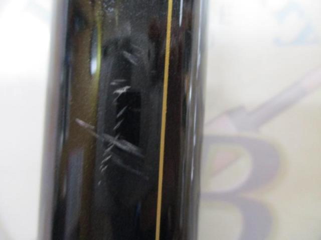 がま鮎アルステージ プロタイプ95