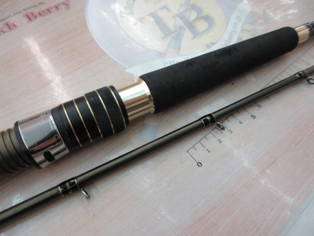 海人ヒラメ 245MH