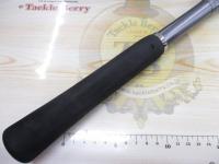 BJSカイコウ 80-255+バットズーム