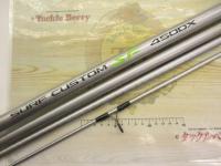 サーフカスタムSF 450DX