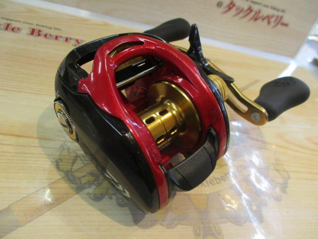 タトゥーラCTタイプR100HS